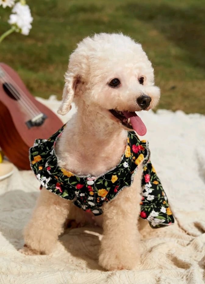 Vestido para Mascotas Estampado Flor