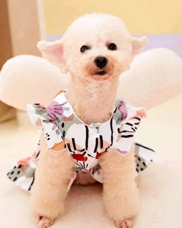 Vestido para Mascotas Estampado Plantas