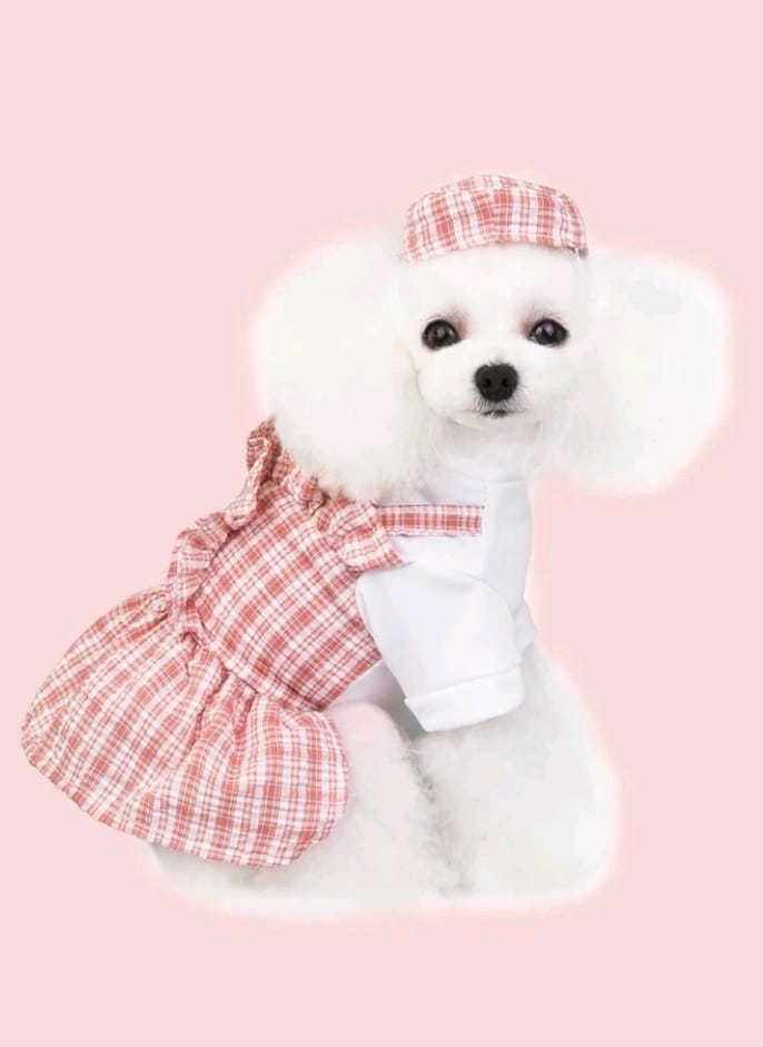 Vestido para Mascotas Estampado Cuadros con Sombrero