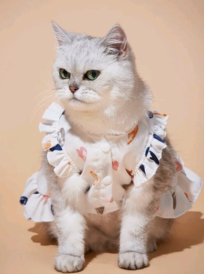 Vestido para Mascotas Estampado Corazones