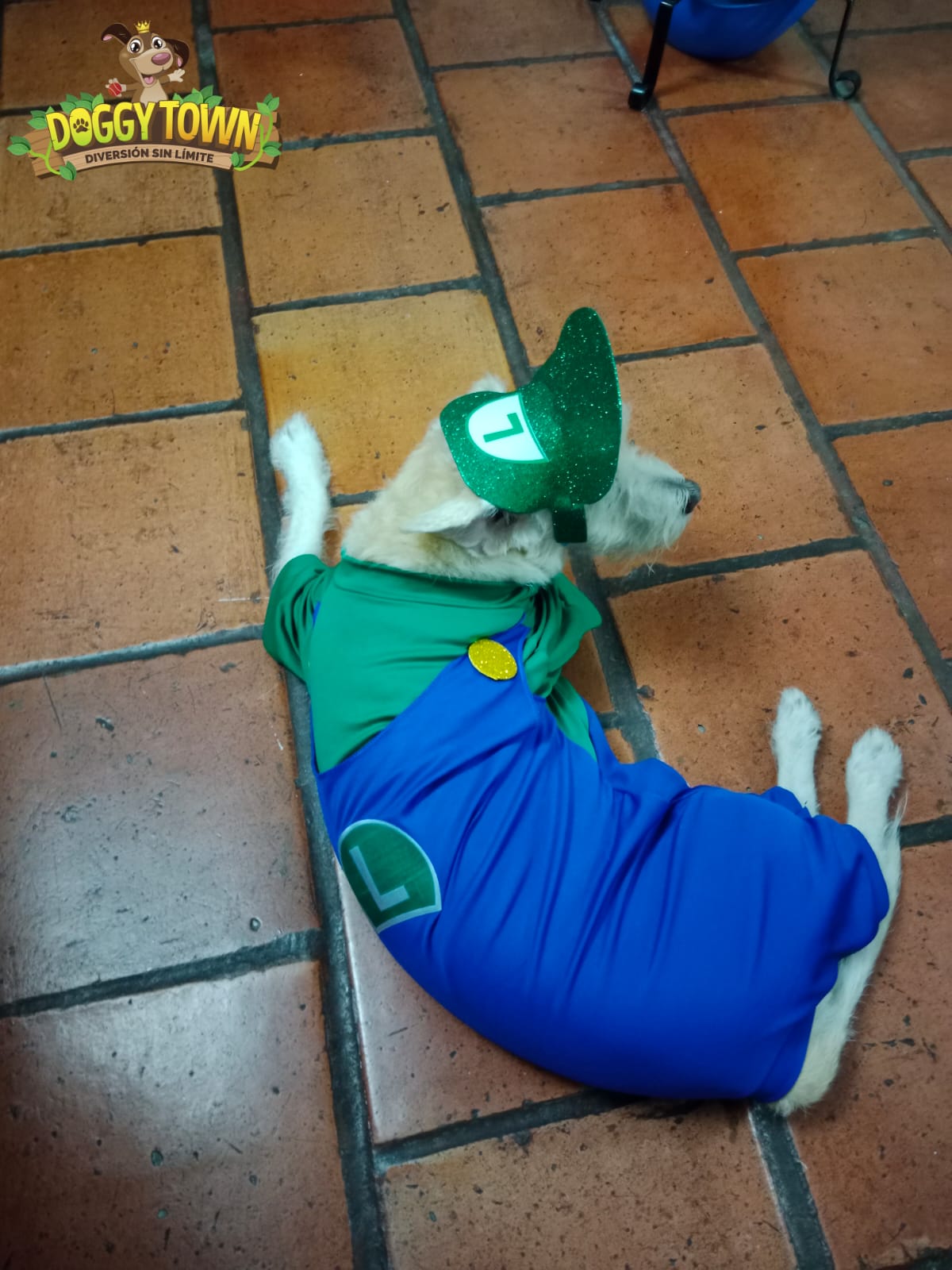 Disfraz de Luigi Bross