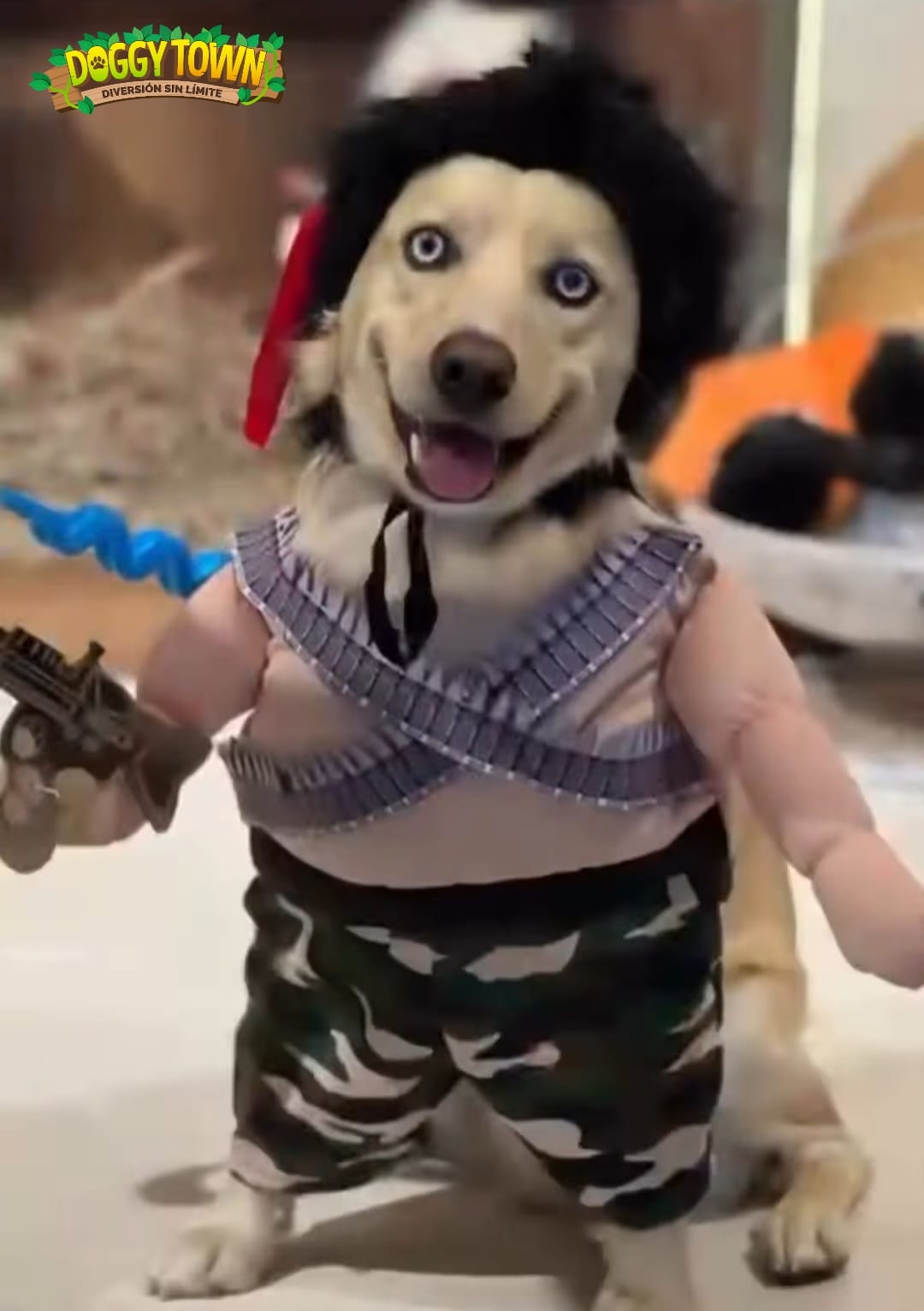 Disfraz de Rambo para Perros