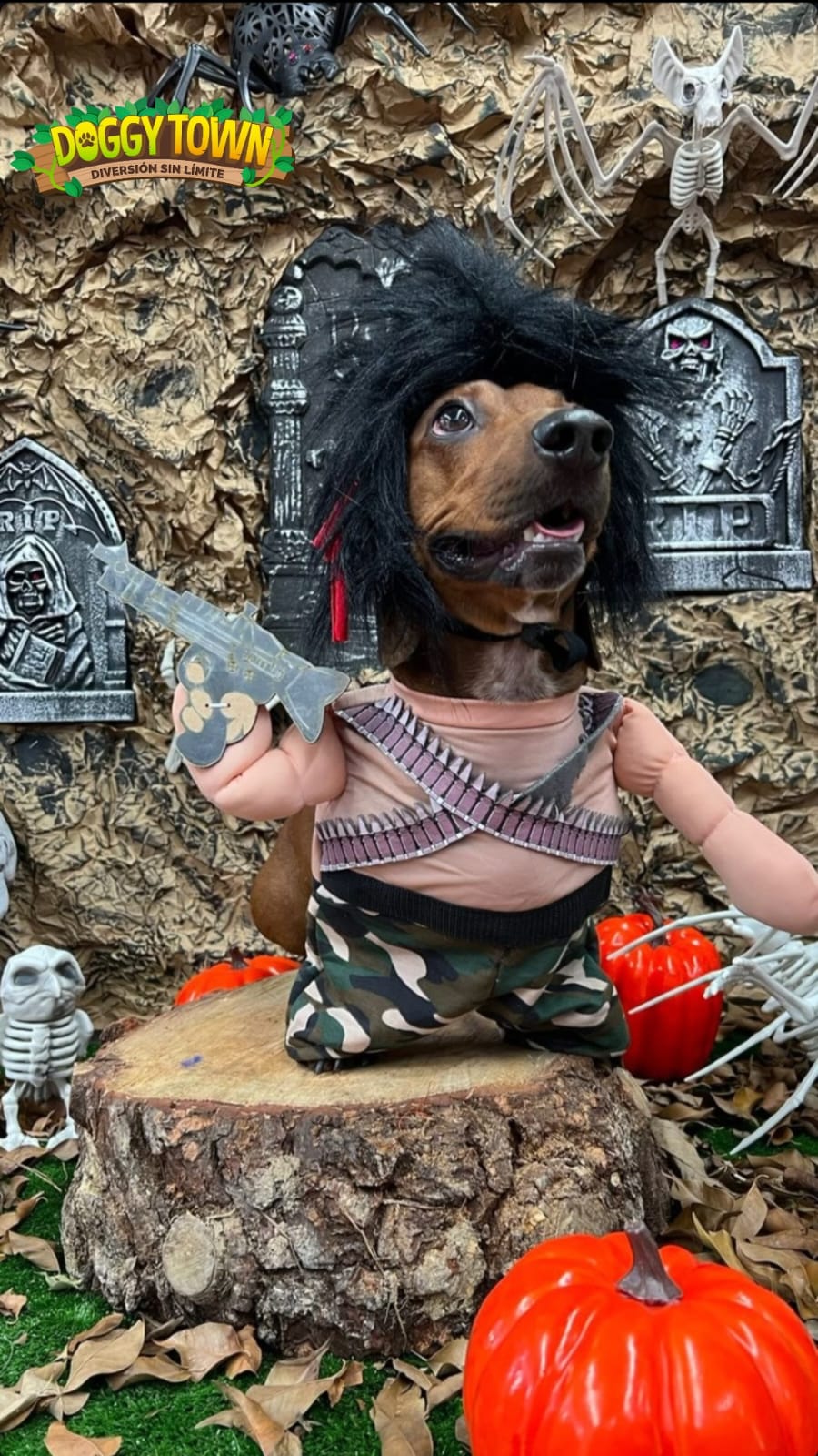 Disfraz de Rambo para Perros