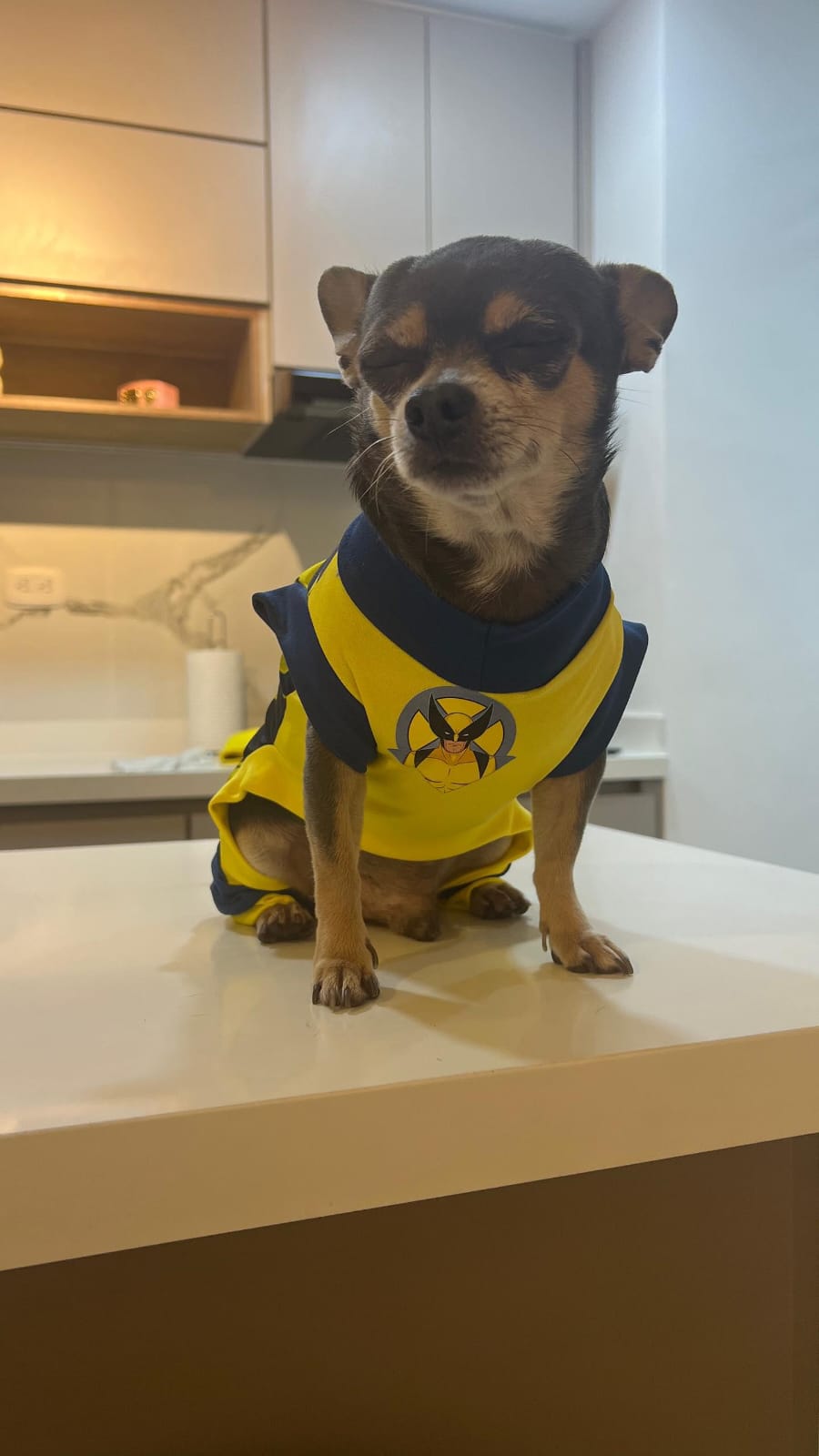 Disfraz de Wolverine (Amarillo)