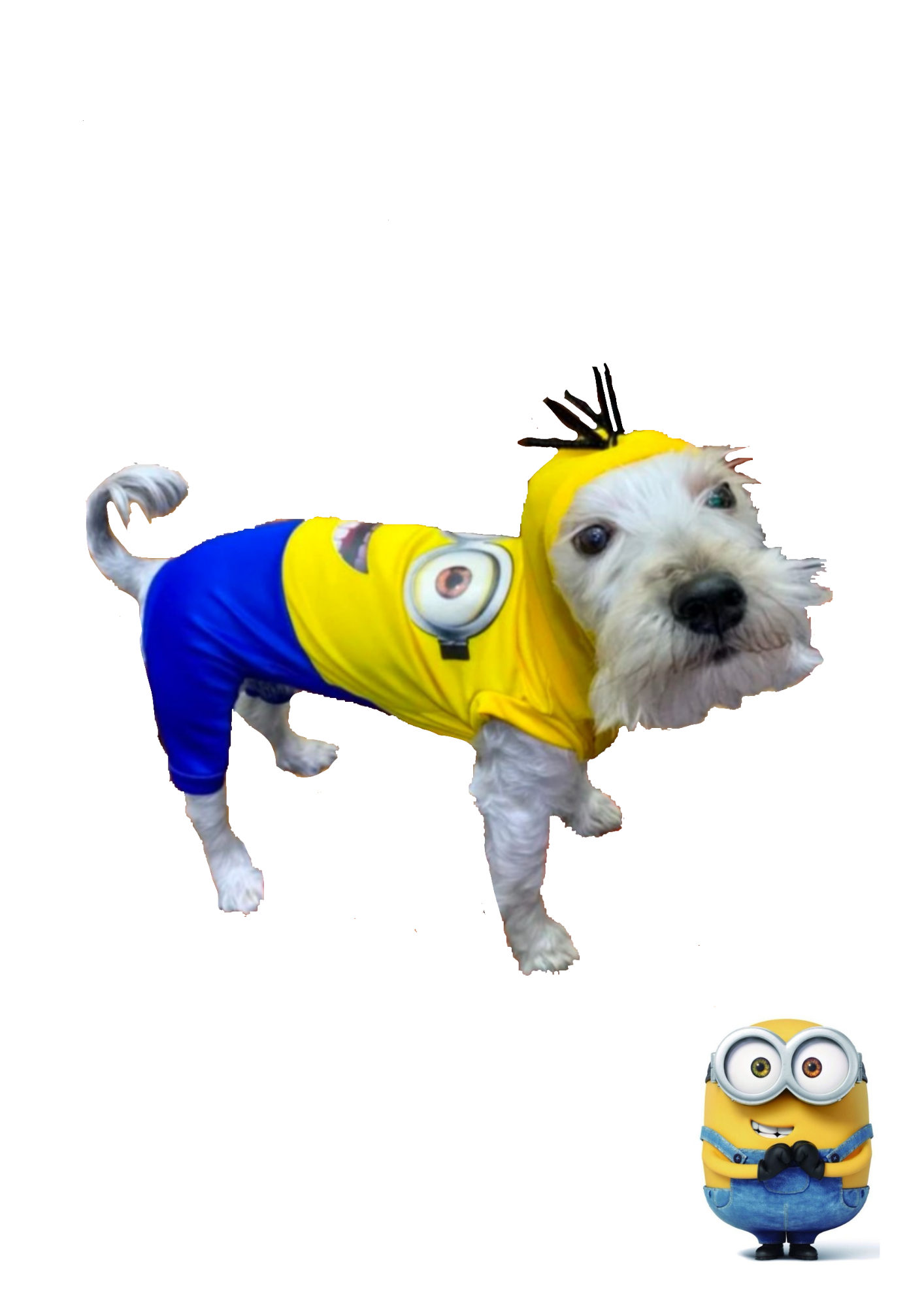 Disfraz de Minions para Mascotas