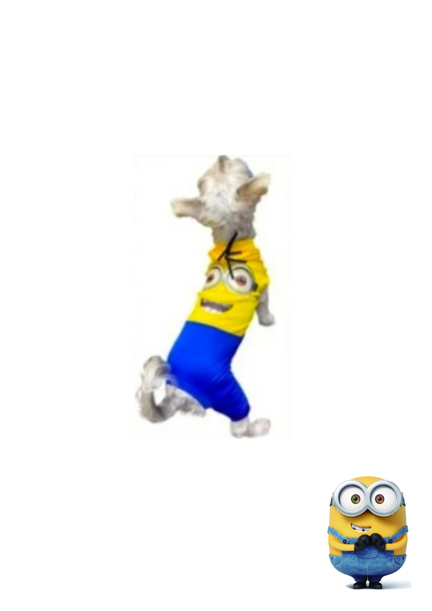Disfraz de Minions para Mascotas