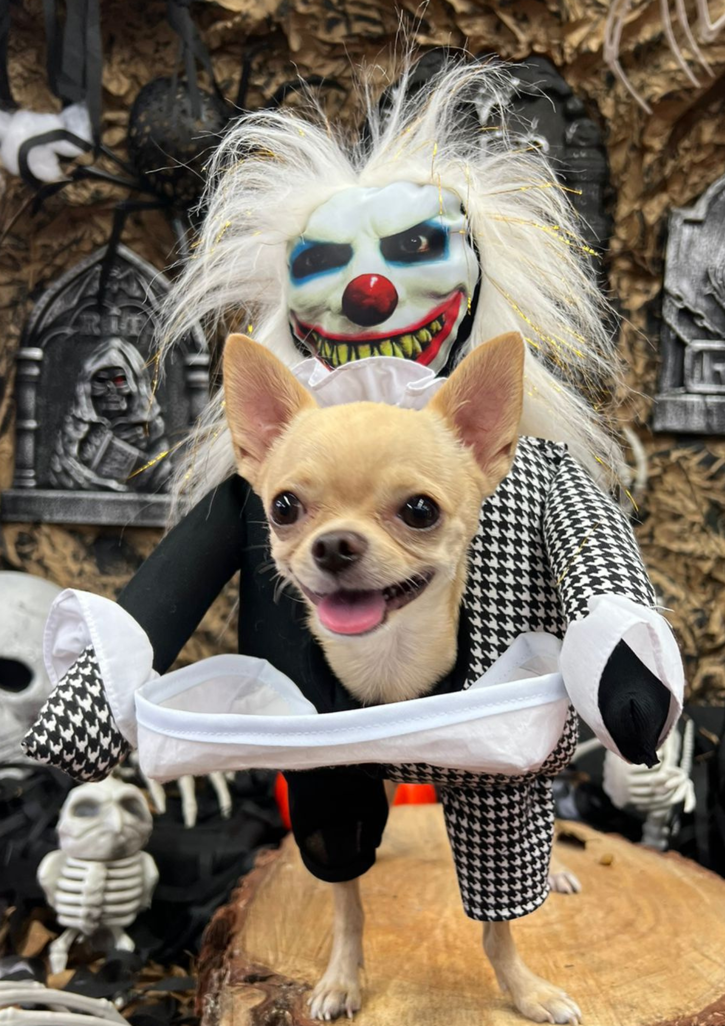 Disfraz de Mesero Asesino