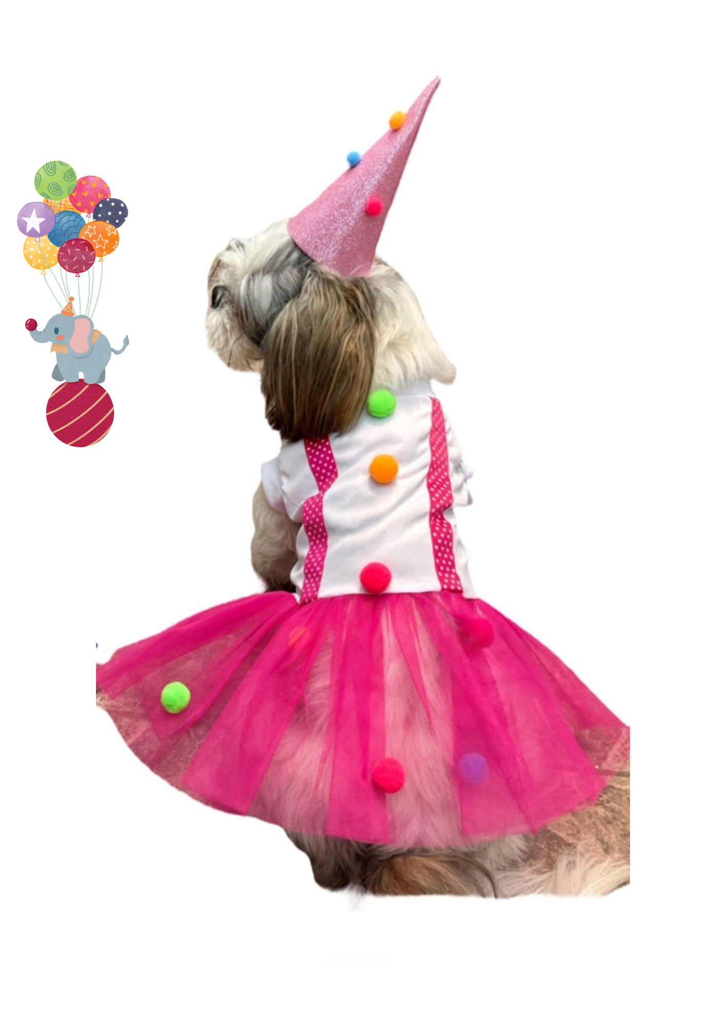 Disfraz de Payasita para tu Mascota