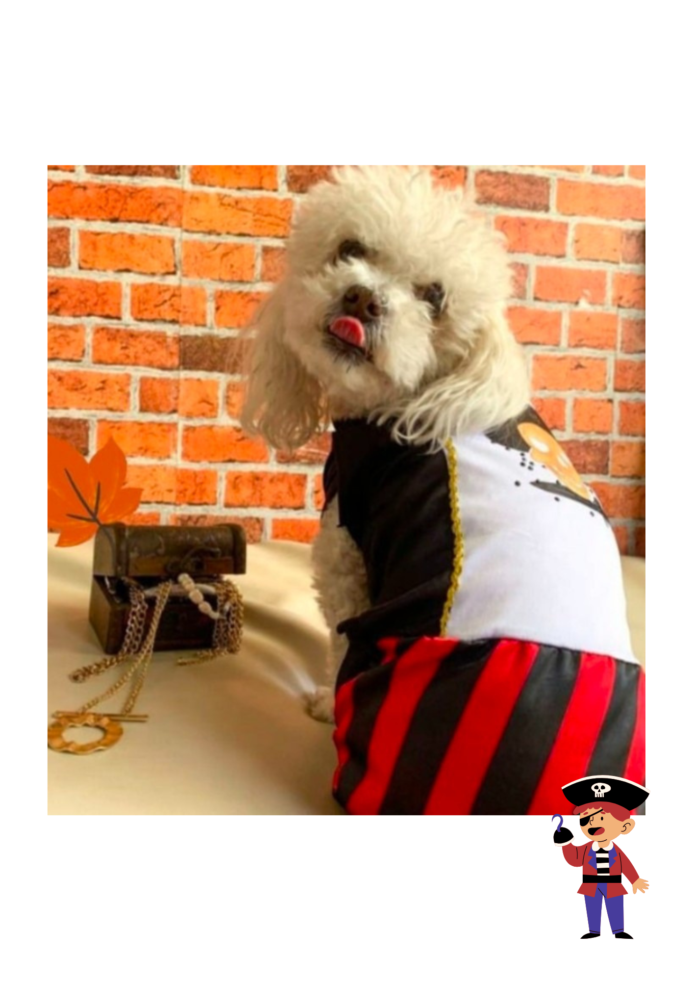 Disfraz de Pirata para Perros y Gatos