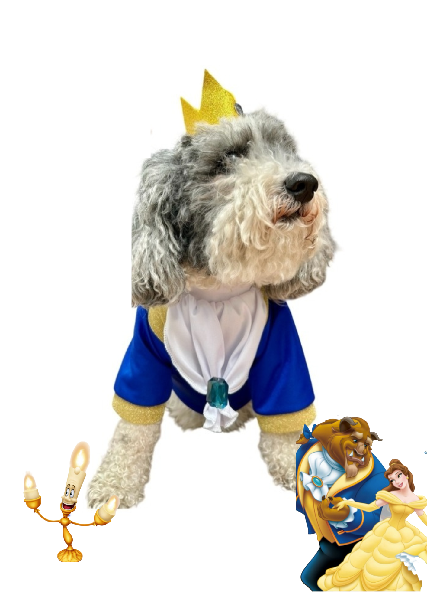 Disfraz de Principe Bestia para tu Peludo