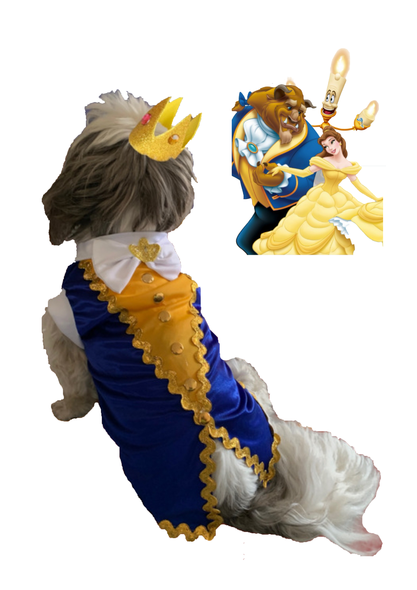 Disfraz de Principe Bestia para tu Peludo