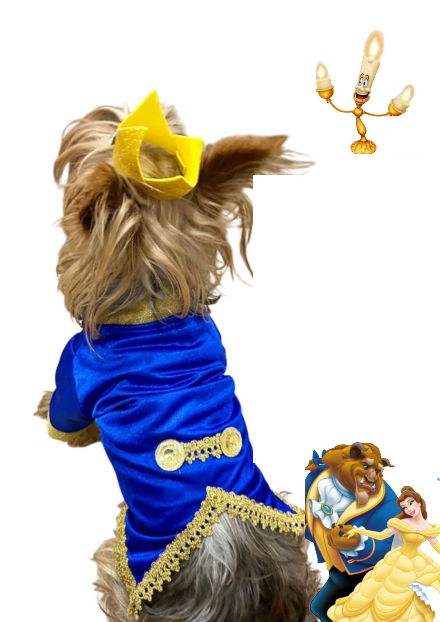 Disfraz de Principe Bestia para tu Peludo