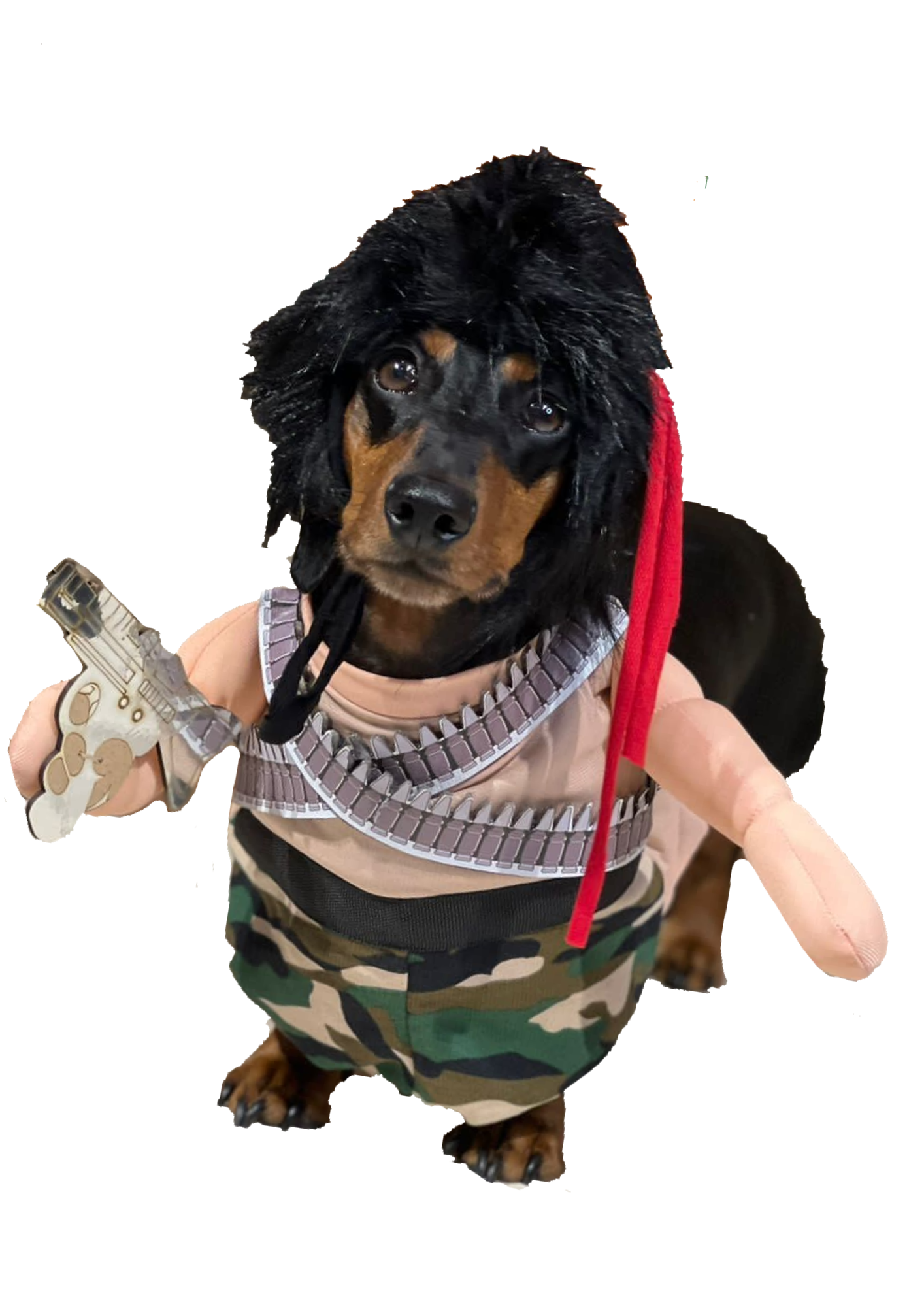 Disfraz de Rambo para Perros