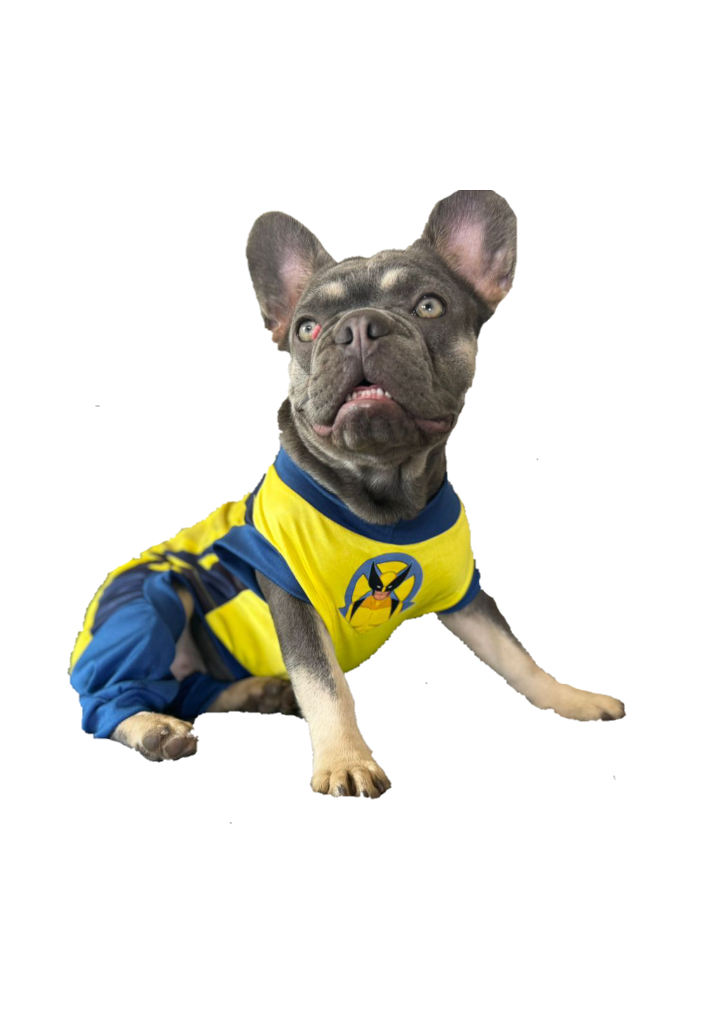 Disfraz de Wolverine (Amarillo)